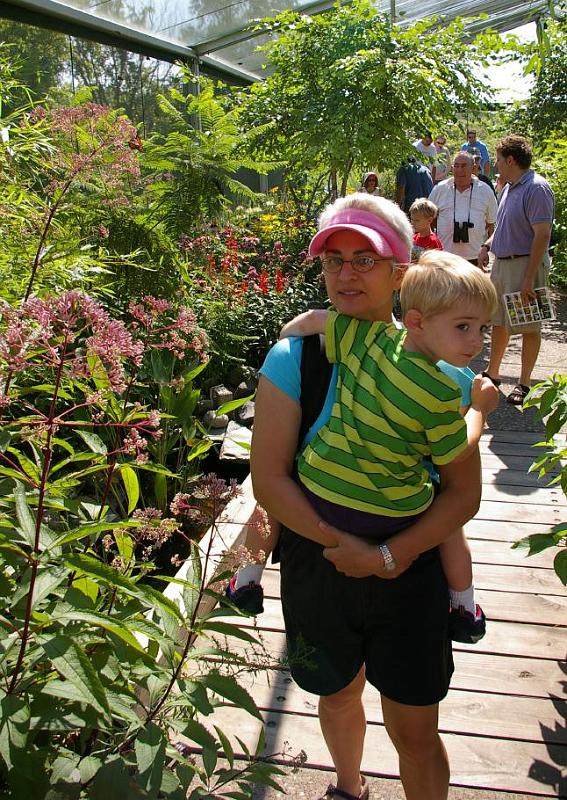 zoo butterfly garden 2.jpg